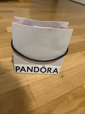 Pandora gift bag like new