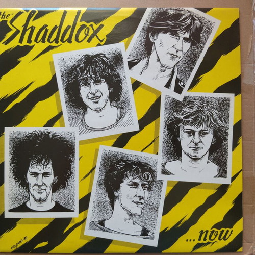 The Shaddox ... Now LP rock like new