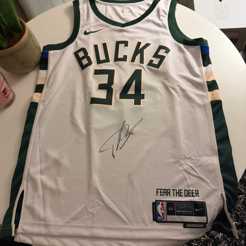 Authentic Giannis Antetokounmpo Nike Swingman Association Edition Jersey in Luxury Frame new