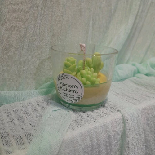 Handmade soy candle with green forest scent new