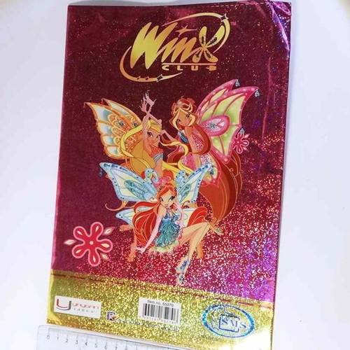 Winx Club Bloom A4 Notebook Cover used