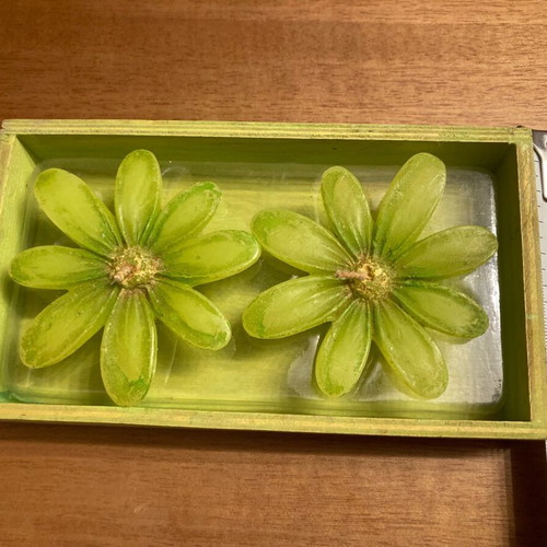 Green flower-shaped tealight candles in wooden base new