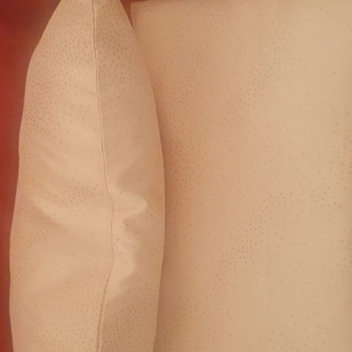 Pillows used with pillowcase 50cm x 30cm set