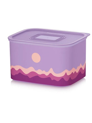Tupperware collectible container 1.3L new with airtight lid