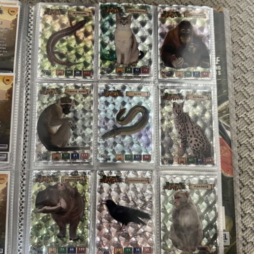 The Jungle Carouzel animal trading cards album