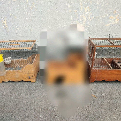 Κλουβιά ξύλινα μεταχειρισμένα, όλα μαζί