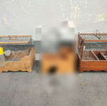 Κλουβιά ξύλινα μεταχειρισμένα, όλα μαζί
