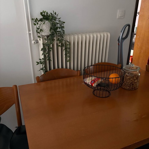 Handmade extendable dining table with 6 chairs