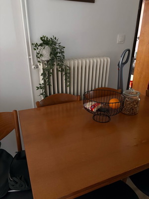 Handmade extendable dining table with 6 chairs