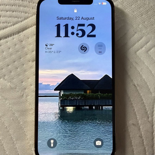 iPhone 12 Pro Max 256GB Gold