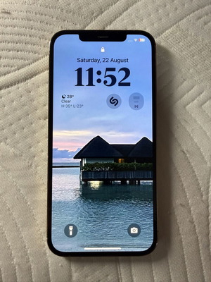 iPhone 12 Pro Max 256GB Gold
