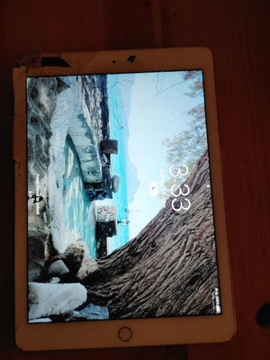 Apple iPad Air 2 16GB 4G Wi-Fi used, needs screen replacement