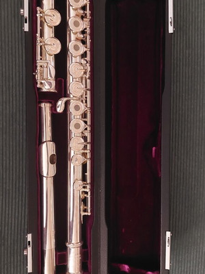 Trevor James Flute Model 31PF RSLR like new with Granite music stand