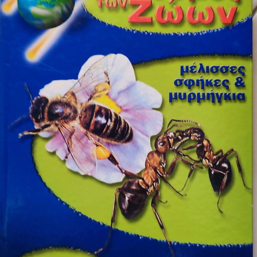 The World of Animals book - bees, wasps and ants