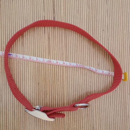 Dog and rabbit collars like new, set of 3 red straps
