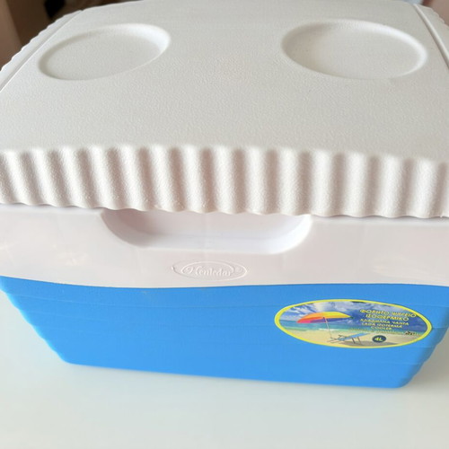 Portable Isothermal Cooler 4L like new