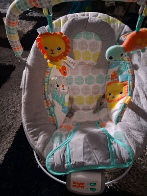 Bright Starts Whimsical Wild bouncer like new for newborns