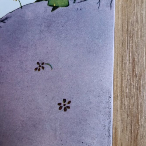 The Little Prince used book in Greek