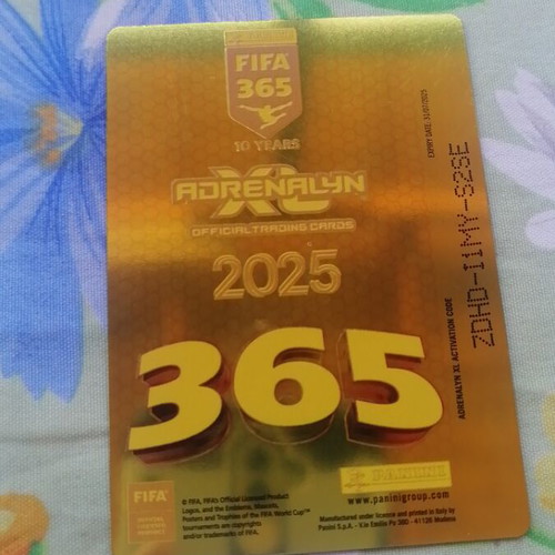 Invincible 2025 collectible sticker card like new