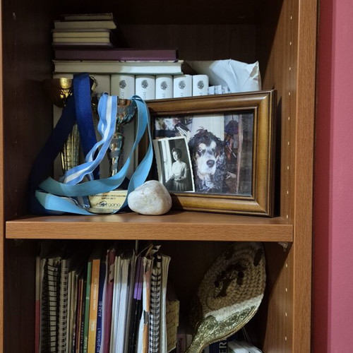 Dromeas desk with single-column bookshelf and chair like new