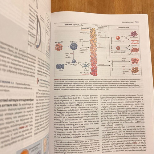 Developmental Biology Michael J. F. Barresi - Scott F. Gilbert like new