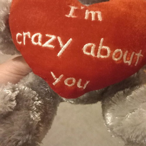 Teddy bear new, perfect for Valentine's Day