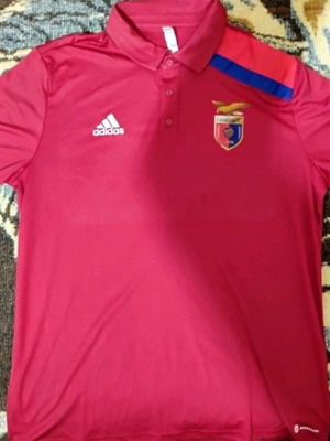 Casertana FC polo shirt, Adidas, size L, short sleeves