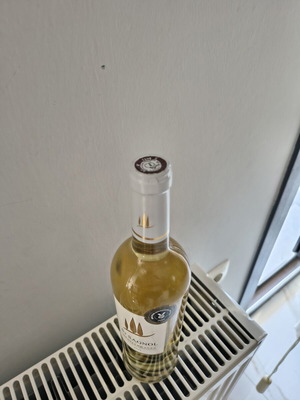 St Sagnol Méditerranée IGP Blanc 2023 λευκό ξηρό κρασί 750ml καινούργιο