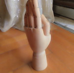 Wooden hand model used
