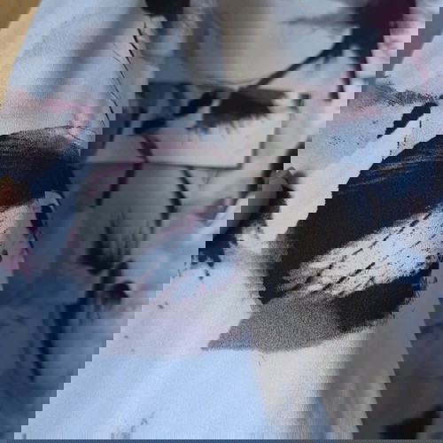 Calvin Klein Shirt New, Worn Once, White Red