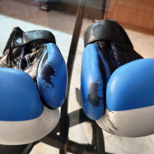 Boxing gloves 10 oz