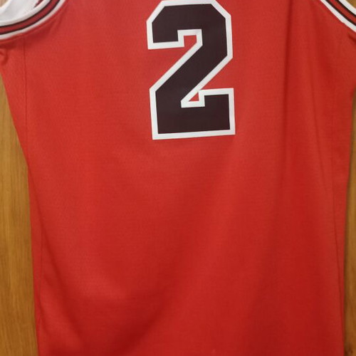 NBA Chicago Bulls Icon Edition Nike jersey size L kids authentic