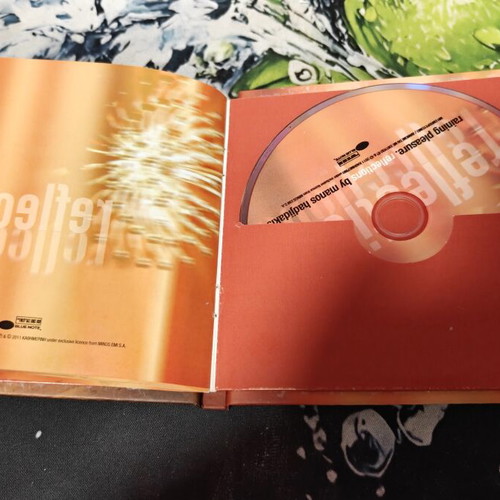 Raining Pleasure Reflections CD new by Manos Xadjidakis