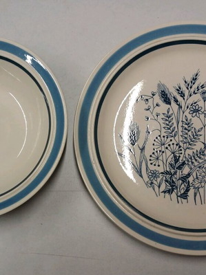 Stone wear plates set of 8, platter and salad bowl like new