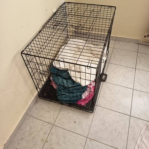 Dog and cat transport cages like new, metal 60x90 cm and plastic 30x60 cm