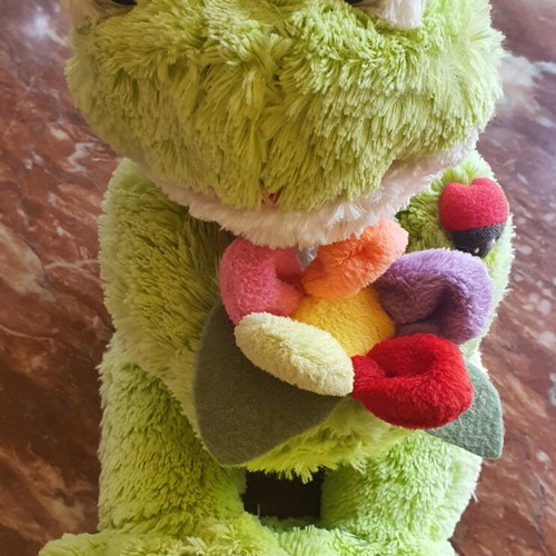 Plush Frog like new with colorful flower