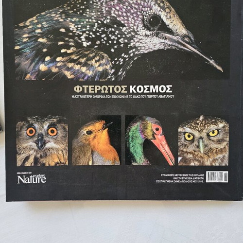 Feathered World like new, the sparkling beauty of birds
