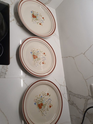 Vintage heavy ceramic plates used, set of 3 with floral design