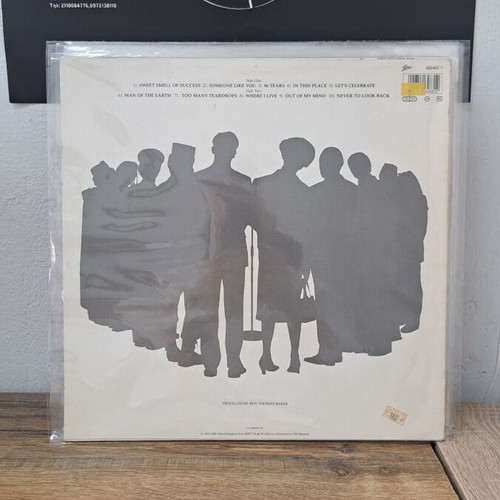 The Stranglers 10 vinyl record used, rock genre