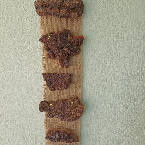 Handmade wall key stand from tree bark new