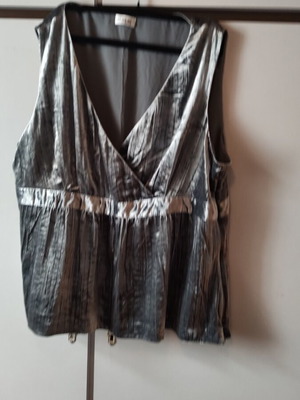 Velvet sleeveless top silver like new with side zipper and lining