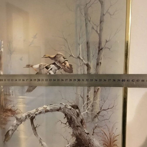 Frame with wild duck poster like new, 50x40 with glass