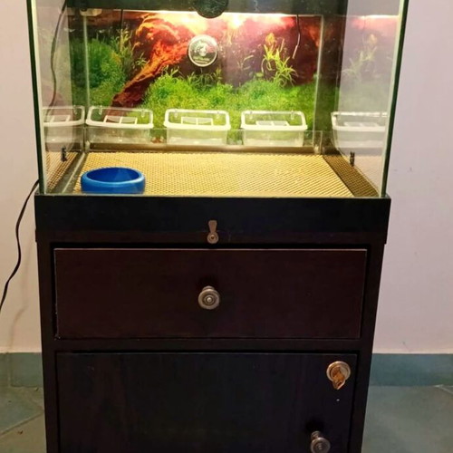 Brooder bird incubator like new with digital thermostat and LED lighting