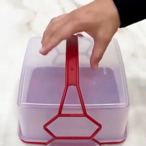 Tupperware square picnic container 4L new