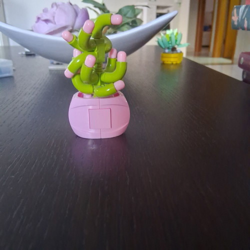 Decorative item new