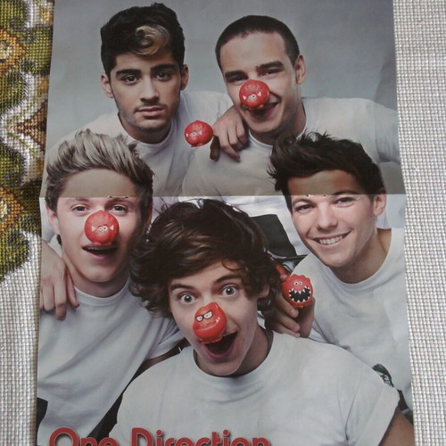 One Direction & Hot Chelle Rae poster like new, size 41.5x28