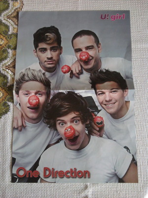 One Direction & Hot Chelle Rae poster like new, size 41.5x28