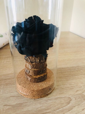 Forever Black Rose used preserved rose in glass container