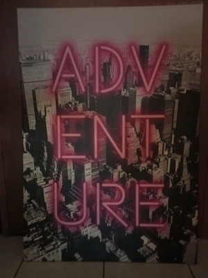 Adventure painting used, dimensions 1x0.70 cm