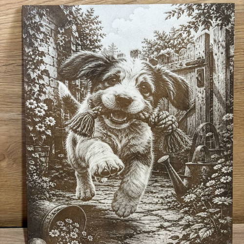 Laser Engraved Picture new, 30x24 cm